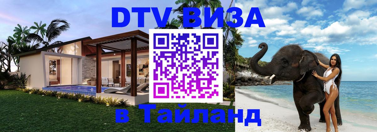 Оформление DTV визы под ключ: стоимость и тарифы, только загранпаспорт - 